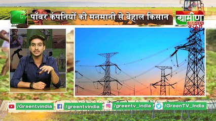 Kisan Bulletin: Rs 150 per Kilogram बिक रही यह घास, Kisan हो रहे मालामाल - Grameen News