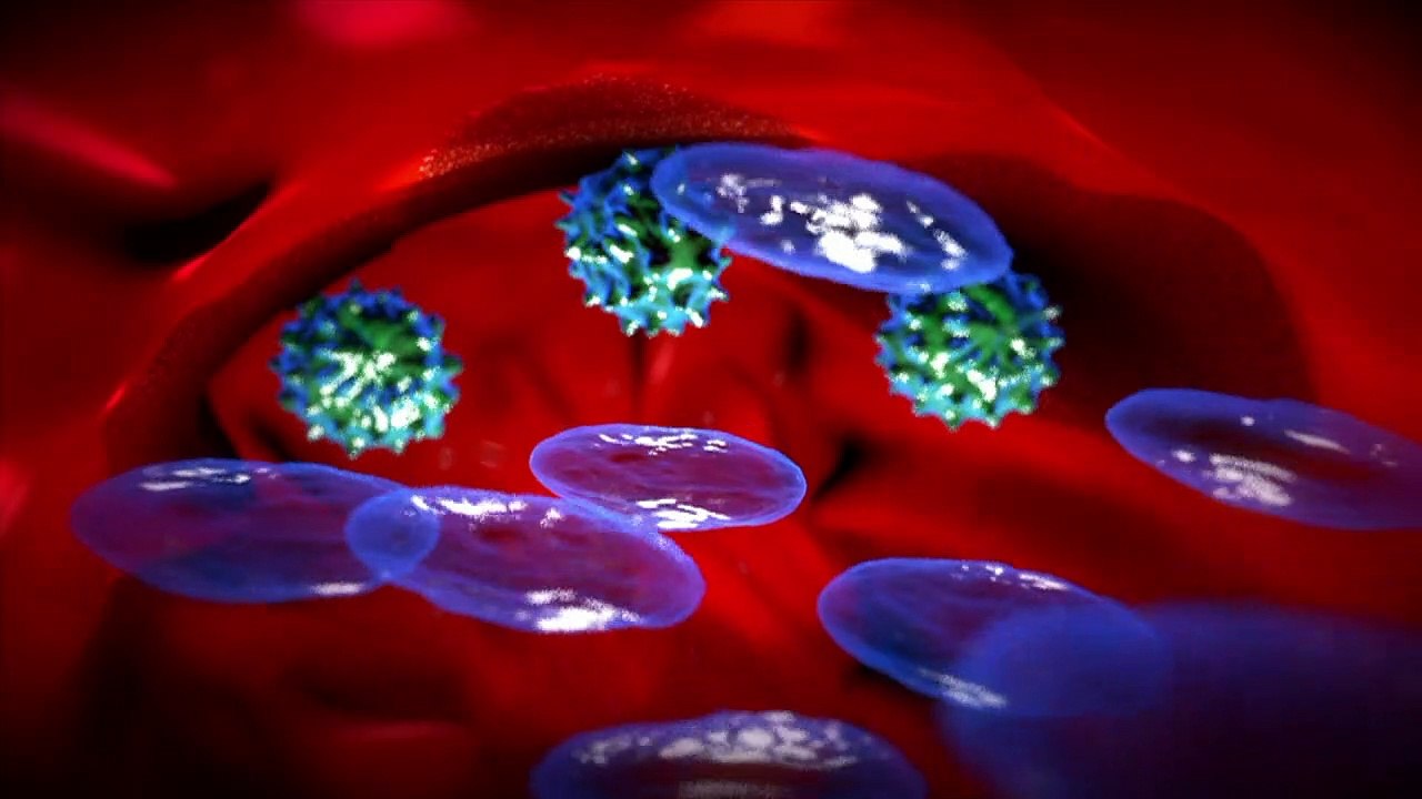 Videografik: So wirken Impfungen