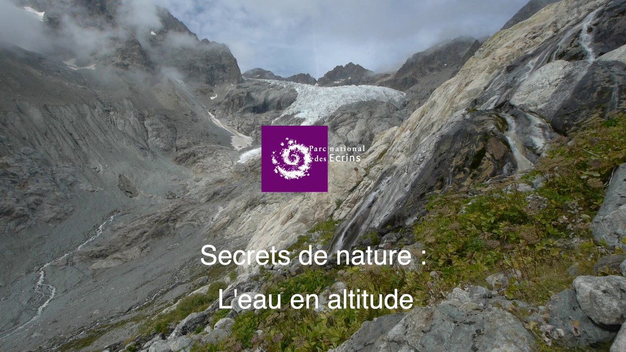 Secrets de nature :  l'eau en altitude