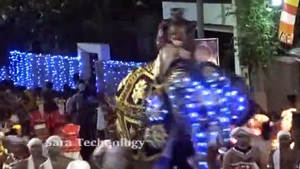 Un éléphant devient fou et fonce sur la foule pendant une parade au Sri Lanka