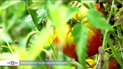 Alimentation : peut-on faire confiance aux produits estampillés bio ?