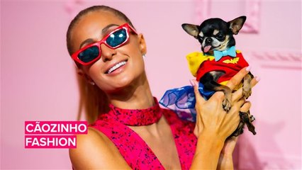Paris Hilton veste seu Chihuahua de mulher-maravilha para o NYFW