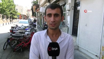 Muhabirin kedi ile zor anları