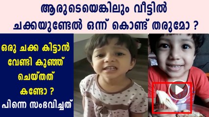 വൈറലായി ചക്ക കൊച്ചിന്റെ വീഡിയോ