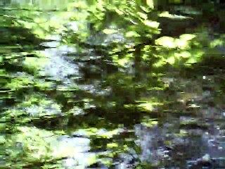 Precz Z Moich Oczu vocals only