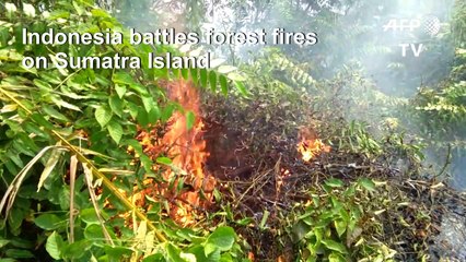 Forest fires rage in Indonesia's Sumatra