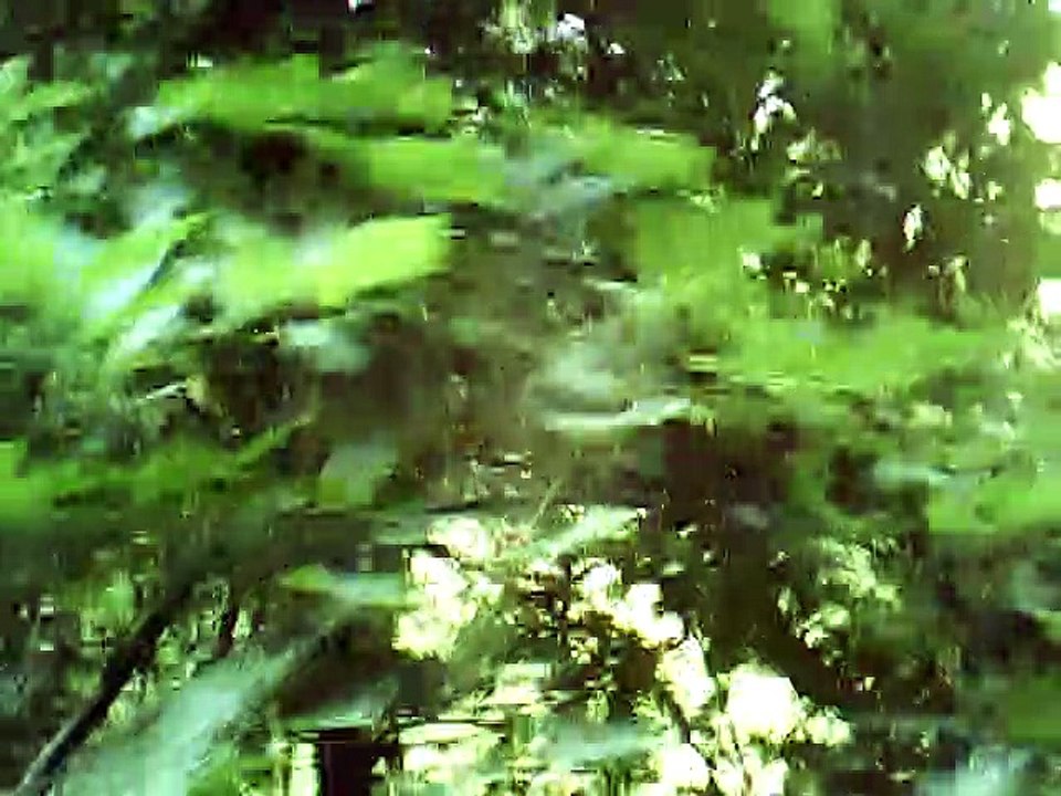 Precz Z Moich Oczu instrumental no melody