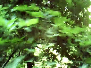 Precz Z Moich Oczu instrumental no melody