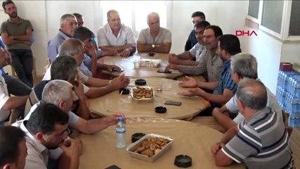 Mersin domatesin fiyatı 50 kuruşa düştü