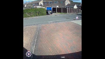 CCTV captures the moment an attacker stole a woman's handbag