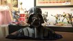 Darth Vader's original Star Wars helmet to go up for auction