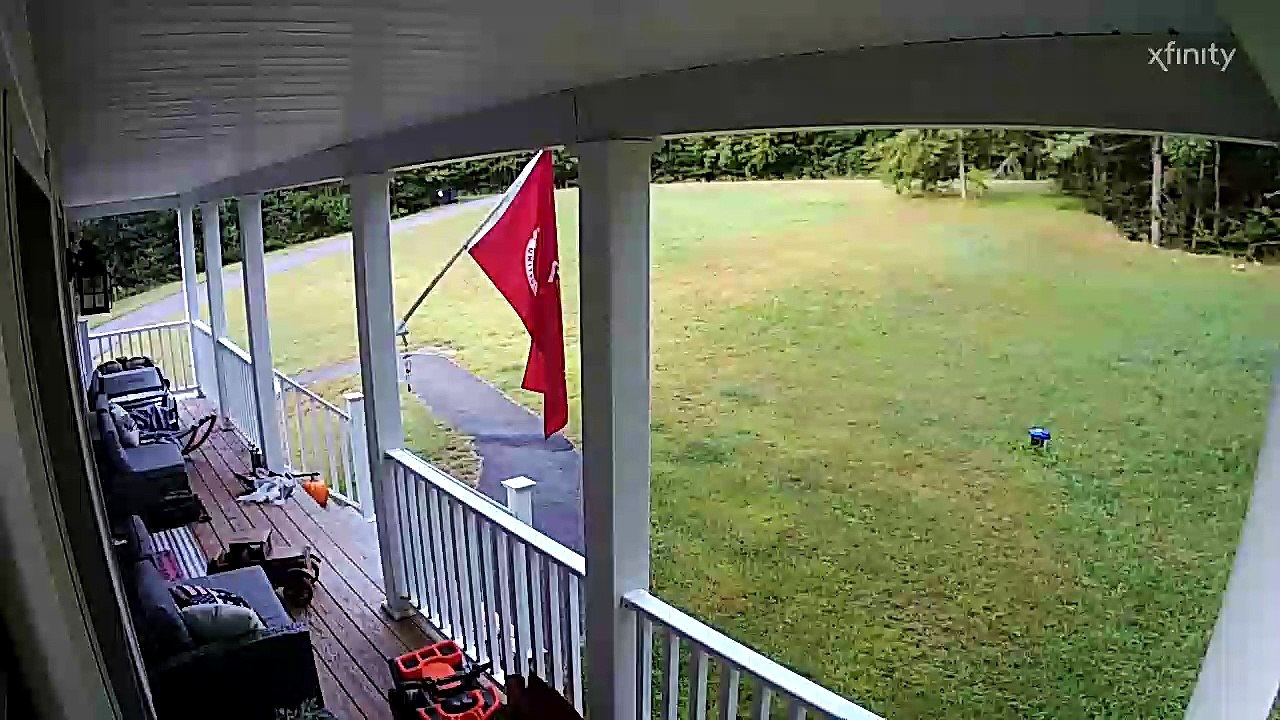 Human and Bear Both Get a Scare