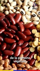 Voici à quoi pourrait ressembler Paris en 2050 selon Benoît Thévard - Speech