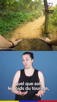 Tourisme animalier : 4 fausses bonnes idées à proscrire