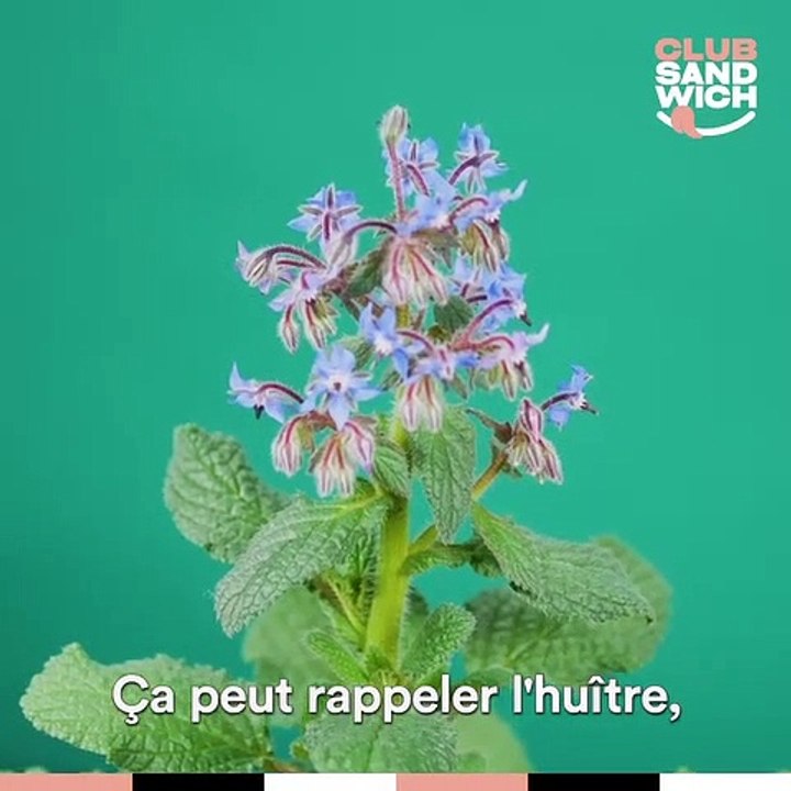 Ophélie de Ta Mère Nature | Secret de chef