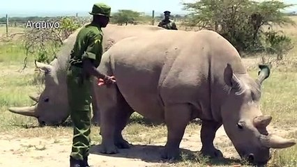 Esperança contra extinção