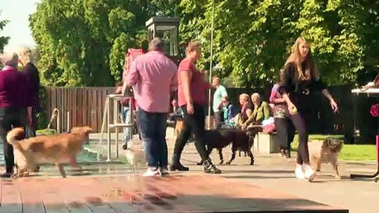 Hundebadetag in münchen