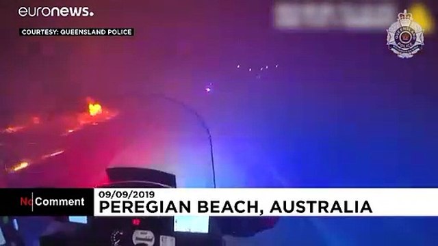 Лесные пожары в Австралии