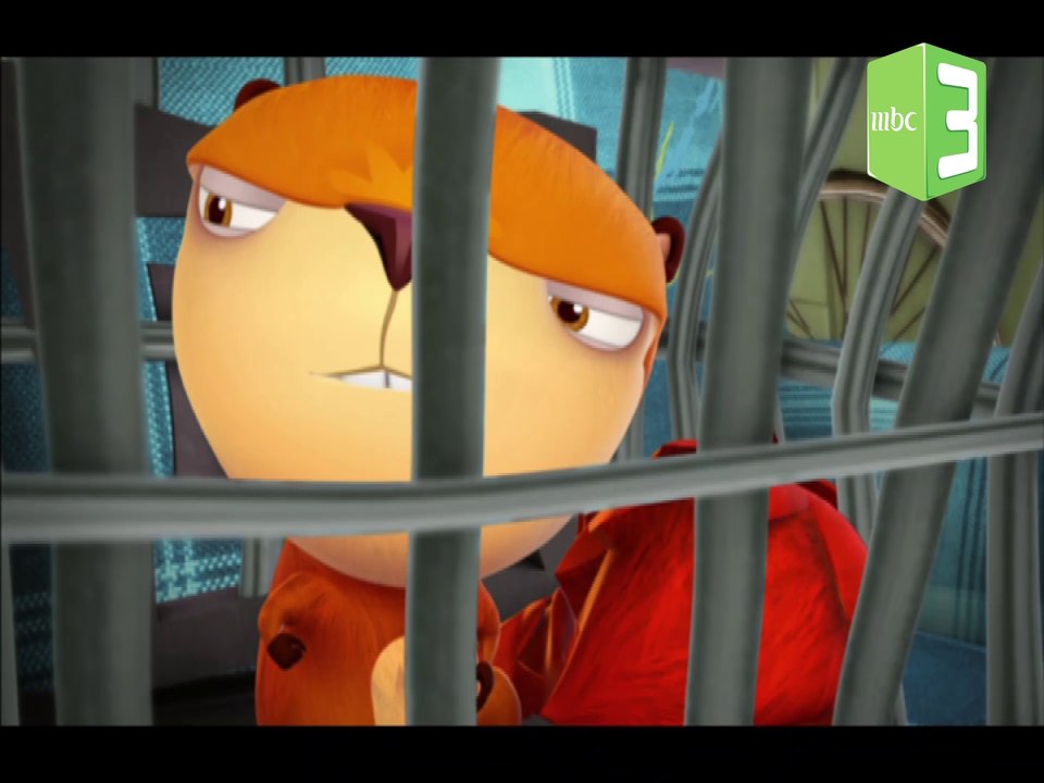 ميرل يختار القفص.. شاهد الفيديو