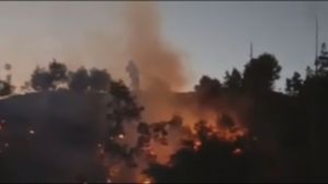 Puluhan Hektare Hutan Pinus di Bantaeng Terbakar