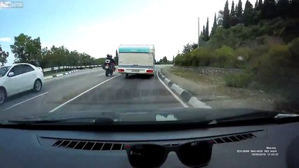 Guêpe contre Araignée.. qui l'emporte ?