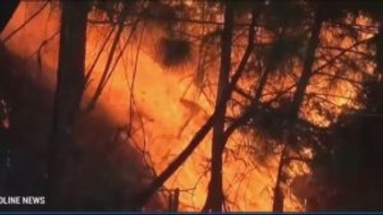 Lahan Perkebunan dan Hutan Pinus di Mamasa Terbakar