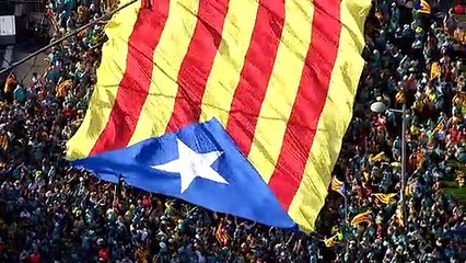 Manifestación de la ANC con motivo de la Diada