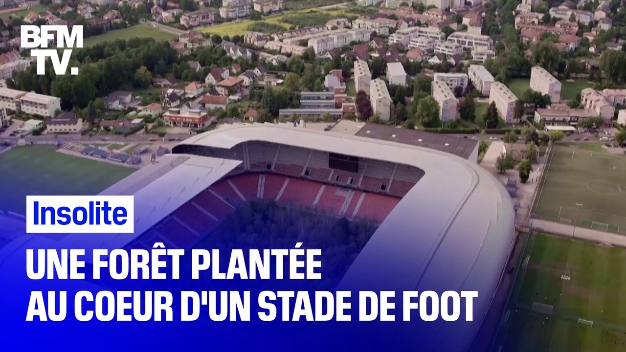 Un stade de football en Autriche se transforme en mini-forêt 