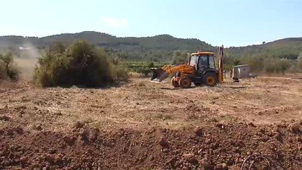 La naranja sudafricana lleva la tragedia al campo valenciano