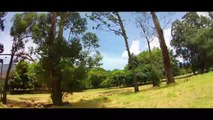 FPV - Moving Between Trees