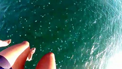 Dudes Get Dunked With Jellyfish