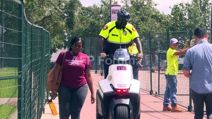 Des chiens ont l'accès exclusif à une piscine publique de Munich