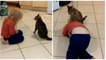 CATS FIGHT WITH BABIES - MOST Crazy Cats Annoying Babies (2019)