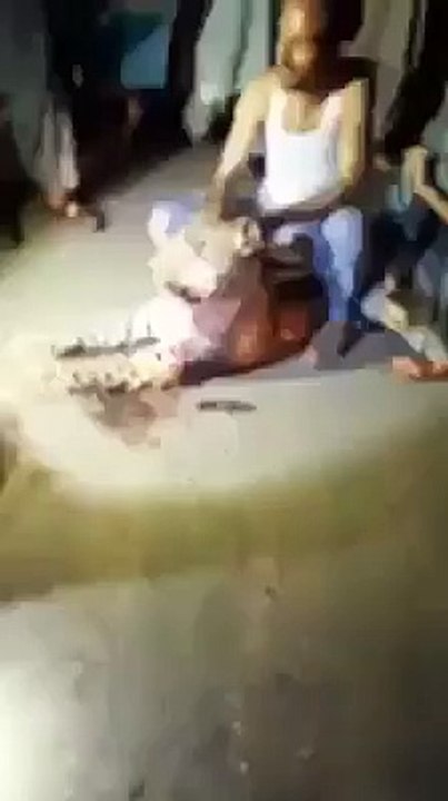 Leopard killed by locals in DarAd Khel
