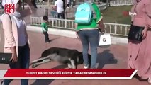 Taksim’de turist kadın sevdiği köpek tarafından ısırıldı