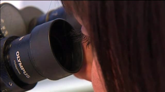 Un 'brexit' sin acuerdo provocaría el caos en Reino Unido