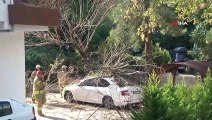 Kadıköy’de facianın eşiğinden dönüldü...Site içerindeki ağaç otomobilin üzerine devrildi