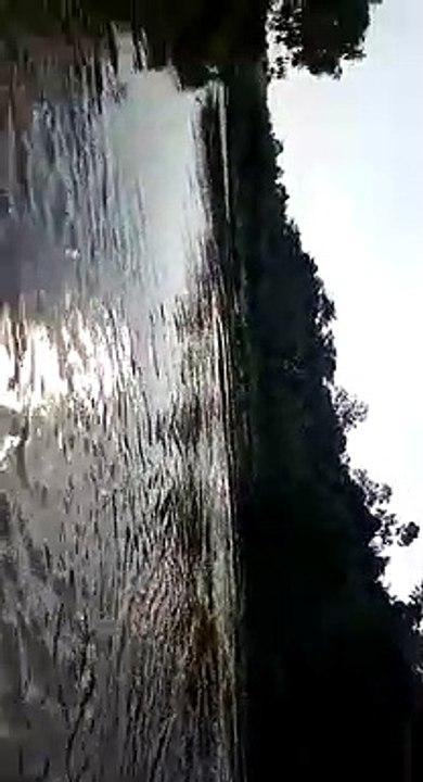 Fishing Time
