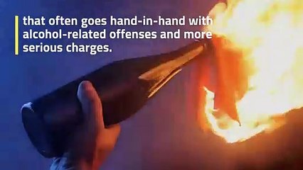 Understanding Misdemeanors: Examples and Consequences ⚖️