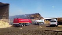 10 bin büyükbaş hayvanın bulunduğu çiftlikteki yangın (2) - GAZİANTEP