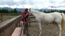 Tokat geleneksel ok ve yayla balık avlıyor