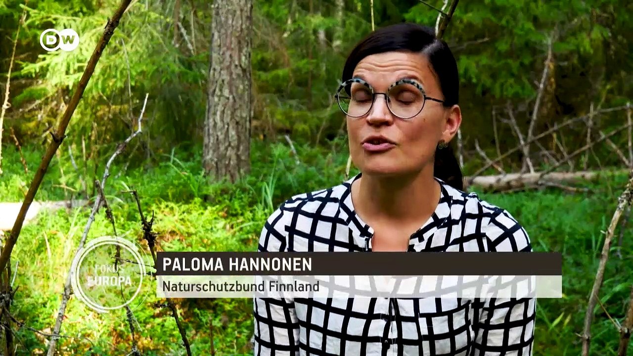 Finnland: Kampf gegen Abholzung der Wälder | Fokus Europa