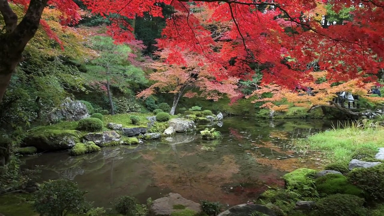 Top 5 Things to do in Kyoto