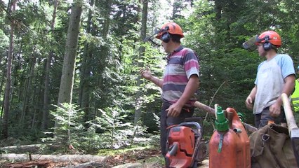 Que diriez-vous de vous immerger le temps d'une demi journée dans le quotidien d'un bucheron ?