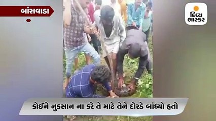 બે કલાક સુધી વનવિભાગની ટીમ ના આવી તો લોકો 10 ફૂટનો અજગર ઊચકીને ચાલ્યા