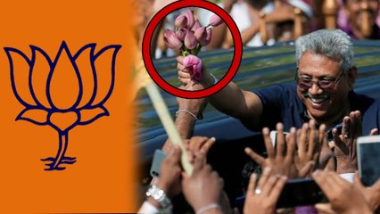 Srilanka Political Parties are fearing over the Lotus bud symbol