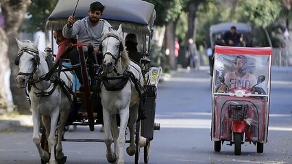 Büyükada'nın çözülemeyen ulaşım problemi: Tek sorumlu fayton mu?