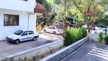 Kadıköy’de ağaç aracın üzerine devrildi