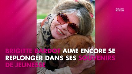 Brigitte Bardot : candide, elle commente des clichés d'elle dans son nouveau livre