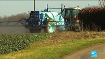 Cinq grandes villes françaises interdisent l'utilisation des pesticides